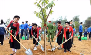 Tuyên Quang cán đích trước 1 năm Đề án trồng một tỷ cây xanh 