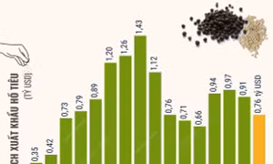 Dự báo hồ tiêu Việt Nam sớm trở lại nhóm hàng xuất khẩu tỷ USD