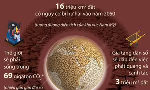 Hậu quả của suy thoái đất