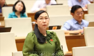 Kỳ họp thứ 9, Quốc hội khóa XV: Thí điểm Viện Kiểm sát khởi kiện vụ án dân sự