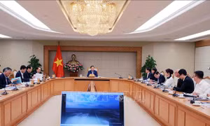 Hỗ trợ hiệu quả doanh nghiệp, nhà đầu tư tại tỉnh Bà Rịa-Vũng Tàu