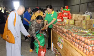 Phật giáo Việt Nam đồng hành cùng người dân vùng lũ