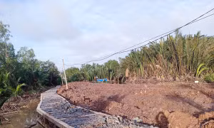 Cù lao Dung chủ động ứng phó trước tác động của triều cường