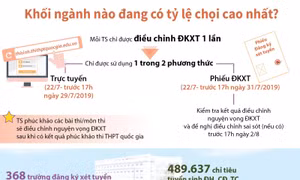 Khối ngành nào đang có tỷ lệ chọi cao nhất?