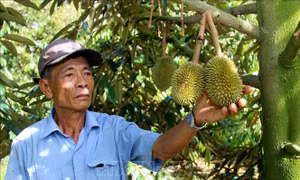 Tỷ phú nông dân nhờ dám nghĩ, dám làm