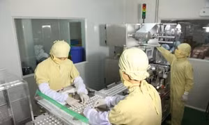 Điều kiện bảo đảm an toàn trong sản xuất thực phẩm bảo vệ sức khỏe