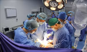 Thực hiện thành công ca lấy đa tạng và ghép thận cho 2 bệnh nhân tại Bệnh viện Đa khoa tỉnh Quảng Ninh