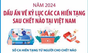 Dấu ấn về kỷ lục các ca hiến tạng sau chết não tại Việt Nam