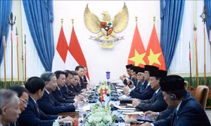 Tổng Bí thư Tô Lâm hội đàm với Tổng thống Indonesia Prabowo Subianto