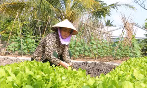 Phụ nữ dân tộc thiểu số tự lực vươn lên, thay đổi 'nếp nghĩ, cách làm'