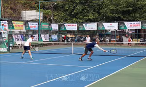 Khai mạc Giải Tennis ngành trang trí nội thất miền Trung - Nam bộ và Tây Nguyên 