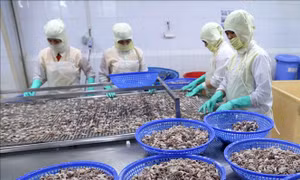 Chương trình hành động của Chính phủ phát huy các nguồn lực của nền kinh tế