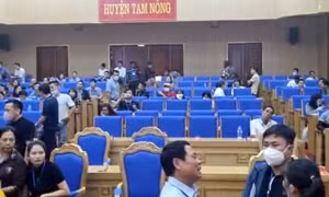 Phú Thọ: Trả toàn bộ tiền đặt cọc, tiền mua hồ sơ cho khách đấu giá đất ngày 22/10 ở Tam Nông 