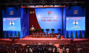 Xây dựng lớp thanh niên làm chủ công nghệ, hội nhập quốc tế