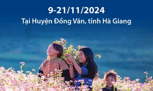 Lễ hội hoa tam giác mạch lần thứ X năm 2024