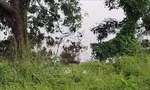 Điều tra vụ thi thể người đàn ông đang phân hủy dưới đập nước