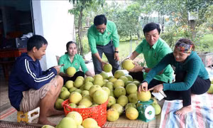 Hà Tĩnh: Nhiều công trình, phần việc ý nghĩa hỗ trợ nông dân