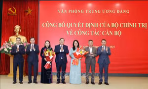 Đồng chí Lâm Thị Phương Thanh giữ chức Thứ trưởng Thường trực Bộ Văn hóa, Thể thao và Du lịch