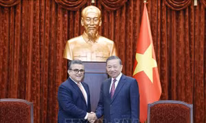 Việt Nam luôn ủng hộ sự nghiệp đấu tranh chính nghĩa của nhân dân Palestine