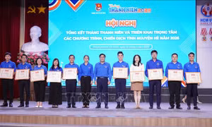 Ứng dụng dữ liệu số trong quản lý hoạt động Đoàn