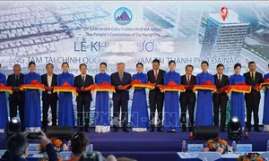 Điểm tin kinh tế Việt Nam nổi bật ngày 9/1/2026
