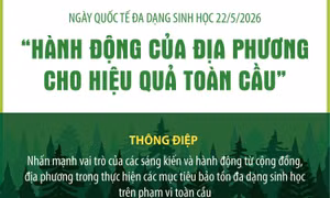 Ngày Quốc tế đa dạng sinh học 22/5/2026: 'Hành động của địa phương cho hiệu quả toàn cầu'
