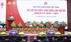 Tổng Bí thư, Chủ tịch nước Tô Lâm: Tiếp tục xây dựng Hội Cựu chiến binh Việt Nam vững mạnh toàn diện
