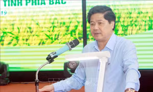 Sản lượng vụ Đông Xuân các tỉnh phía Bắc ước đạt trên 7,2 triệu tấn 