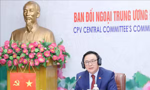 Đối thoại trực tuyến với Nhóm Nghị sĩ Liên đảng trong Quốc hội Anh
