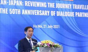 Tọa đàm bàn tròn cao cấp 'ASEAN-Nhật Bản: Hướng tới 50 năm Quan hệ đối tác'