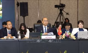 Việt Nam tham dự Hội nghị tham vấn Bộ trưởng Kinh tế ASEAN và các đối tác