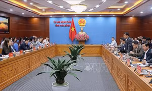Hòa Bình thúc đẩy hợp tác, đầu tư công nghệ cao với doanh nghiệp nước ngoài