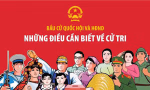Bầu cử Quốc hội và HĐND: Những điều cần biết về cử tri