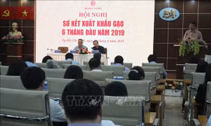 Tìm hướng đi phù hợp cho xuất khẩu gạo