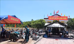 'Vượt nắng, thắng mưa' tìm tên cho liệt sĩ