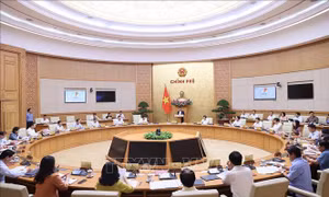 Nghị quyết phiên họp Chính phủ thường kỳ tháng 8 năm 2023
