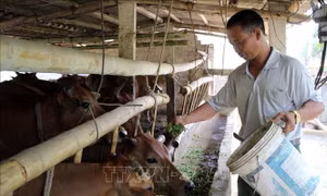 Huy động sức dân đẩy nhanh xây dựng nông thôn mới