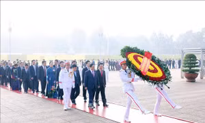 Đoàn đại biểu dự Đại hội Đảng bộ Chính phủ vào Lăng viếng Chủ tịch Hồ Chí Minh 