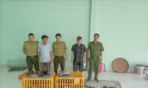 Thu giữ 27 cá thể động vật hoang dã không rõ nguồn gốc, xuất xứ
