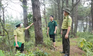 'Gác lửa rừng' mùa nắng nóng