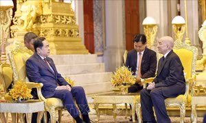 Chủ tịch Quốc hội Trần Thanh Mẫn yết kiến Quốc vương Campuchia Norodom Sihamoni 