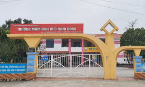 18 người đứng đầu, cấp phó của người đứng đầu bị xử lý kỷ luật