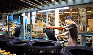 Tây Ninh phục hồi kinh tế sau đại dịch - Bài cuối: Hỗ trợ doanh nghiệp, người lao động
