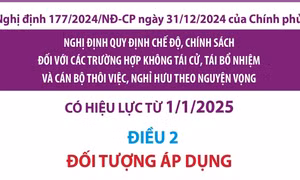 Đối tượng áp dụng quy định chế độ, chính sách thôi việc, nghỉ hưu theo nguyện vọng từ 1/1/2025