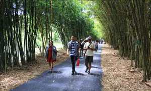 Bảo vệ hệ sinh thái rừng gắn với phát triển du lịch bền vững