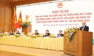 Phát biểu của Tổng Bí thư tại Hội nghị trực tuyến Chính phủ với địa phương (Phần I)