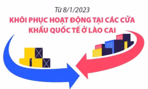 Từ 8/1/2023, khôi phục hoạt động tại các cửa khẩu quốc tế ở Lào Cai