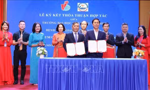 Ngày Công tác xã hội Việt Nam: Thúc đẩy chuyên nghiệp hóa và mở rộng dịch vụ