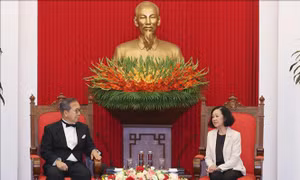 Thường trực Ban Bí thư Trương Thị Mai tiếp Đại sứ Nhật Bản Yamada Takio 