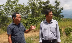 Cựu chiến binh có hai bằng Đại học, sản xuất, kinh doanh giỏi